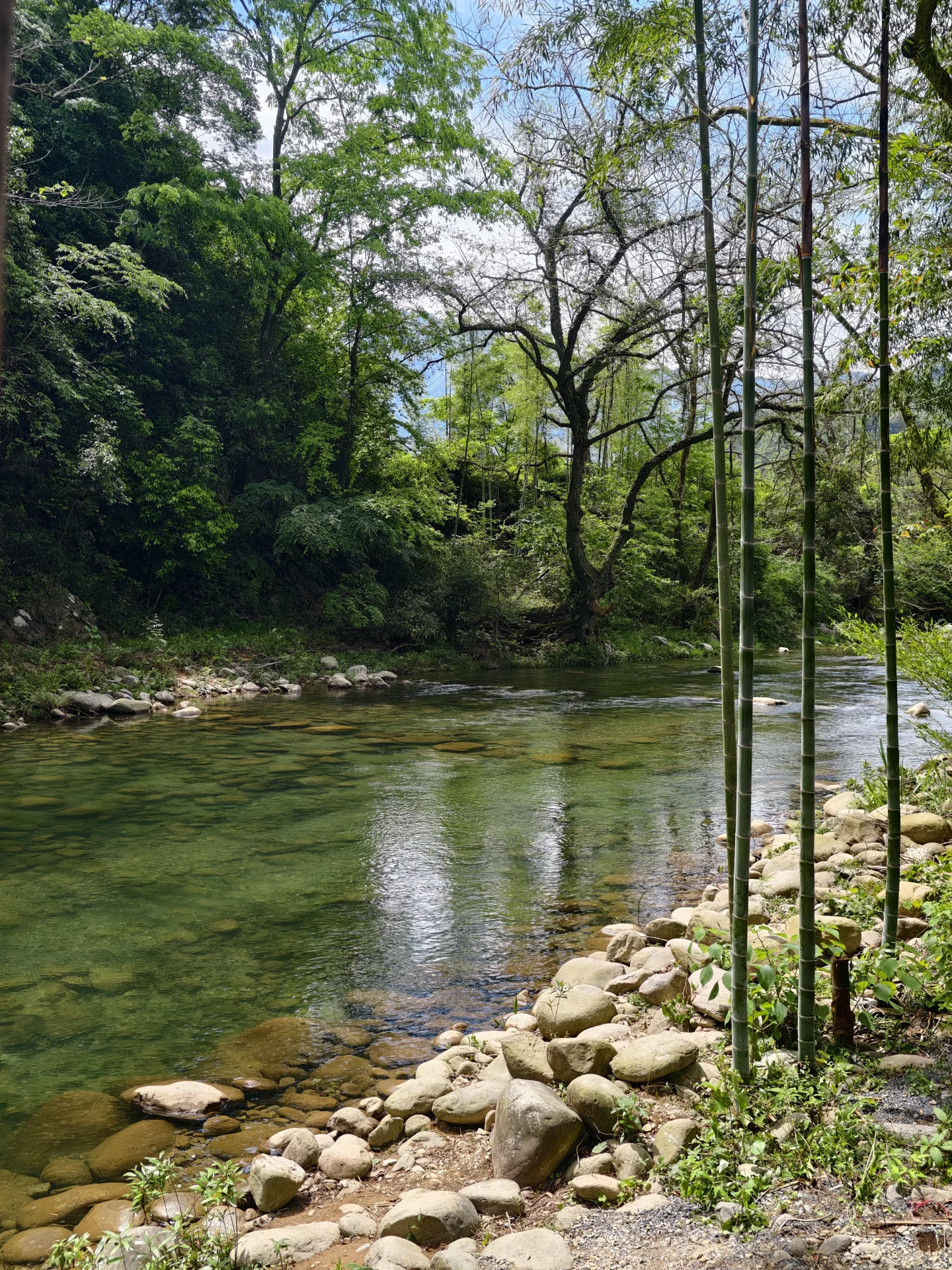 武宁长水村竹林、卵石河岸与清澈溪流实景