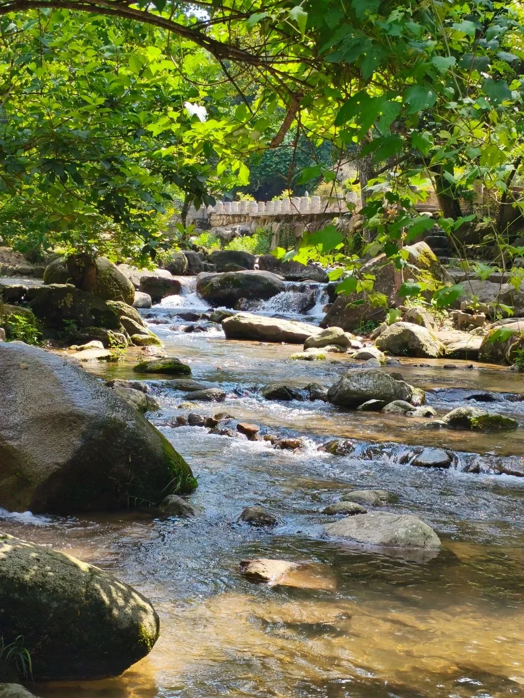 梅岭楠坪古村附近树荫下的浅溪和岩石水道